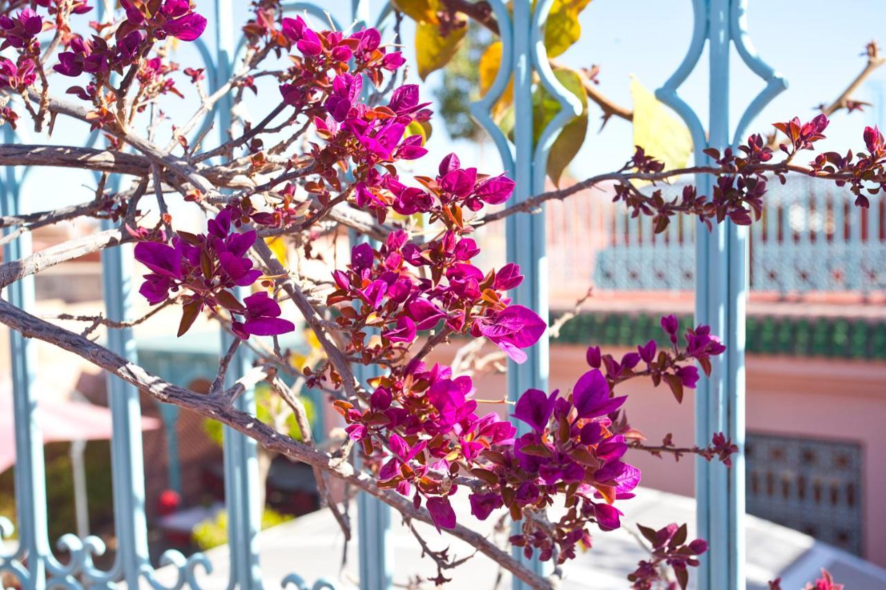 Riad Atlas Acacia Marrakesh Ngoại thất bức ảnh